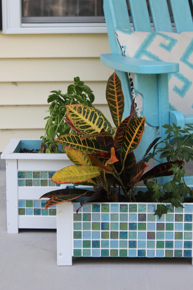 Tile covered planter box holding a leafy croton beside a window