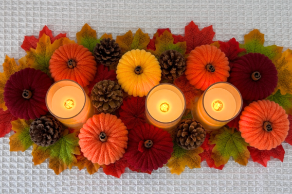 Fall Crafts - chenille yarn pumpkin made from a toilet paper roll