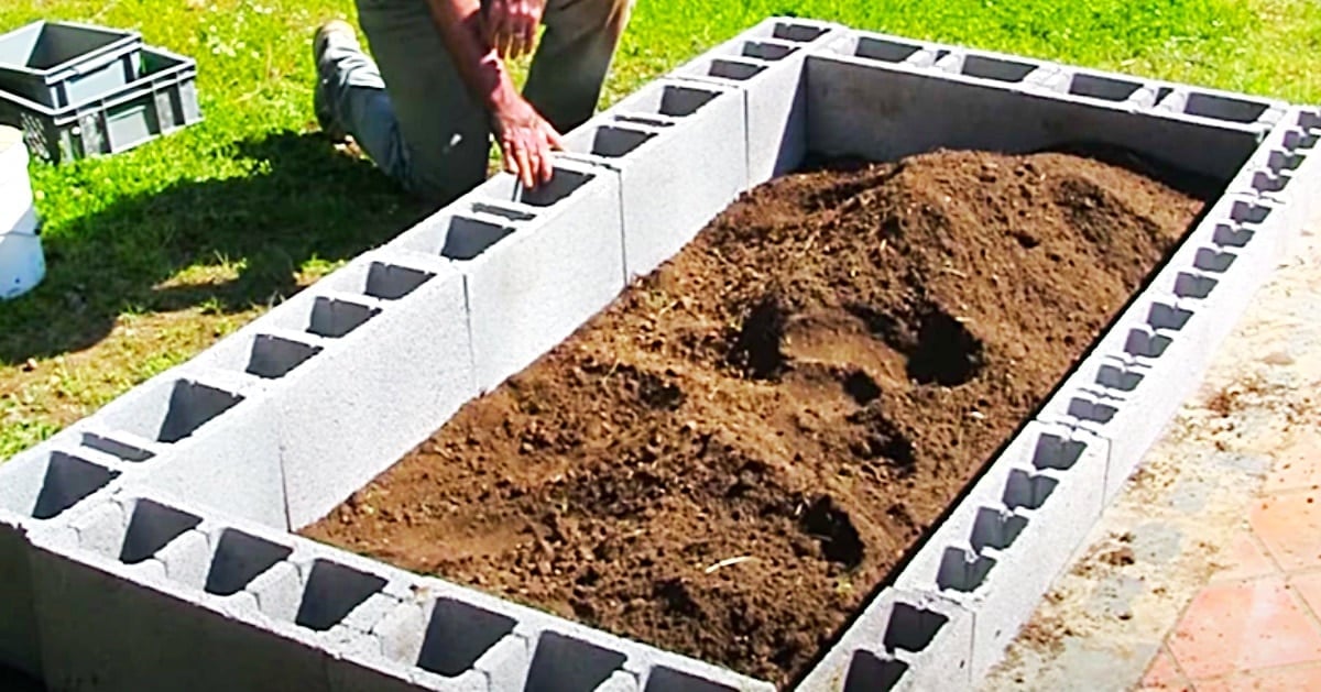 Seasonal garden task, winter-ready yard project and autumn landscape task, focused on cinder block raised garden bed