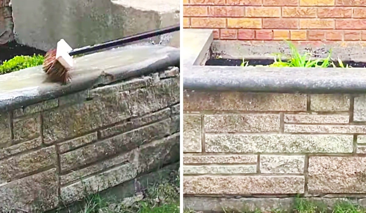 Before and after of an outdoor brick wall scrubbed back to clean