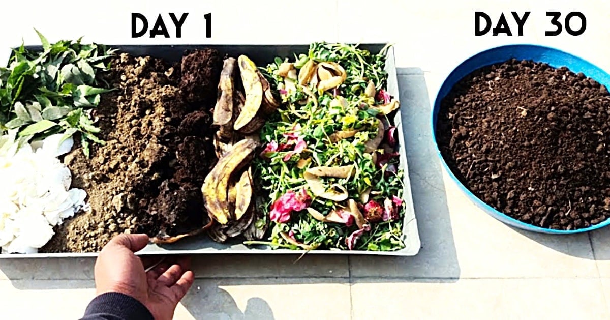 Autumn outdoor tutorial, end-of-season yard care and fall container planting idea, focused on compost from kitchen scraps