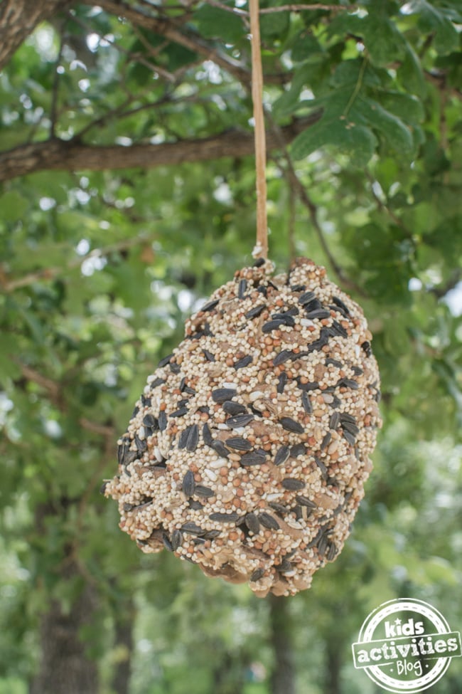 DIY pinecone bird feeder craft for kids, a pinecone coated in peanut butter and birdseed hanging from a tree branch by string