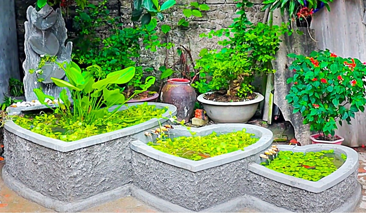 Heart shaped garden beds edged in concrete and planted with greens