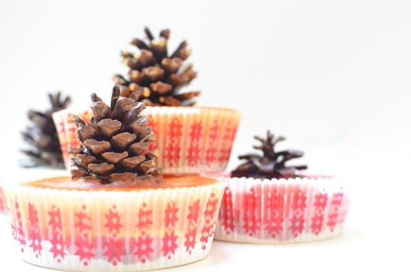 Easy Crafts to Make and Sell - DIY Pine Cone Fire Starters - Cool Homemade Craft Projects You Can Sell On Etsy, at Craft Fairs, Online and in Stores. Quick and Cheap DIY Ideas that Adults and Even Teens #craftstosell #diyideas #crafts