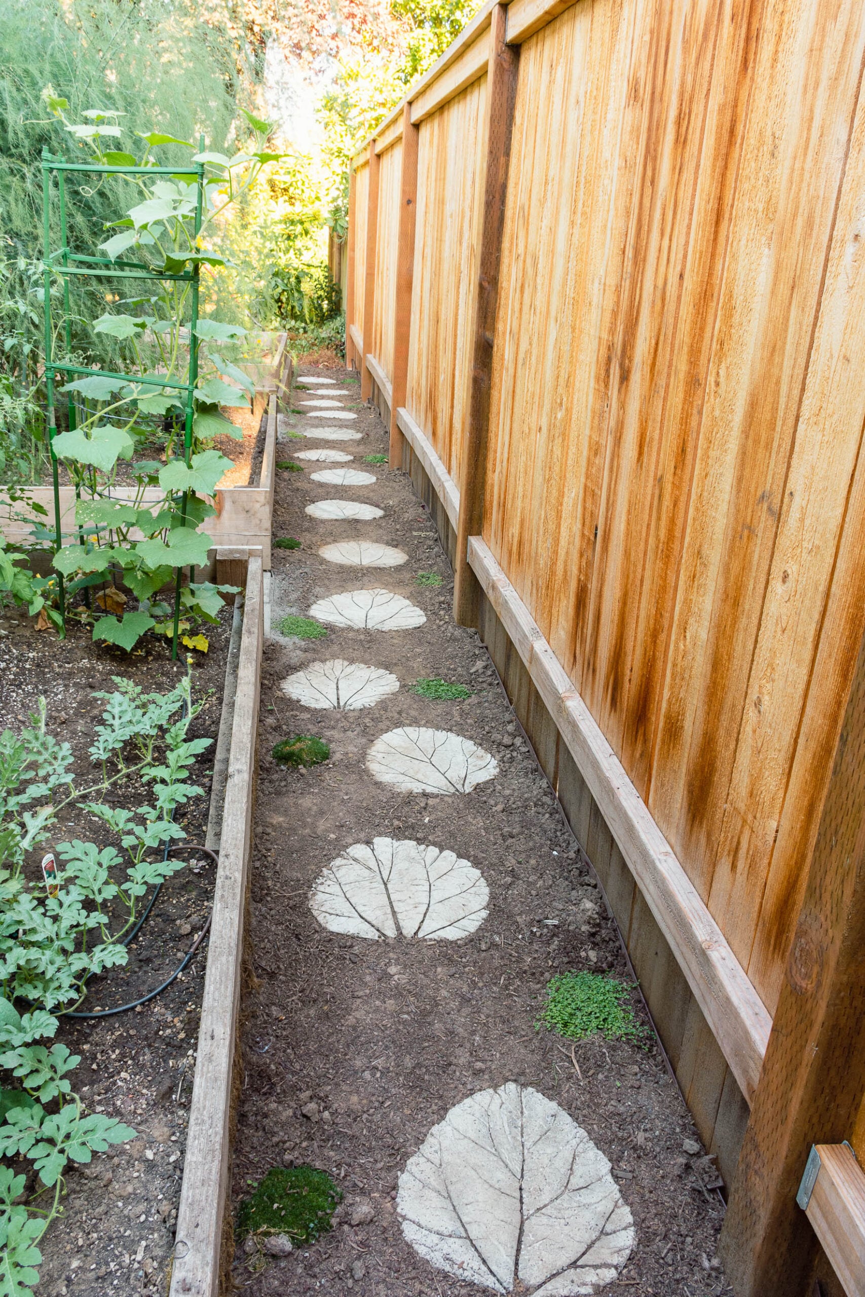 Leaf shaped concrete stepping stones forming a path across the lawn