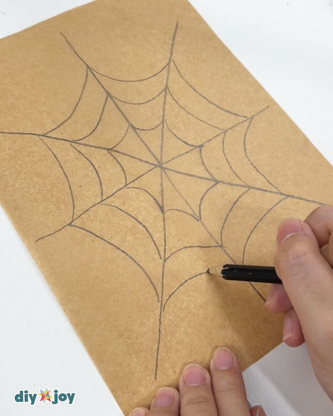 spider web pattern