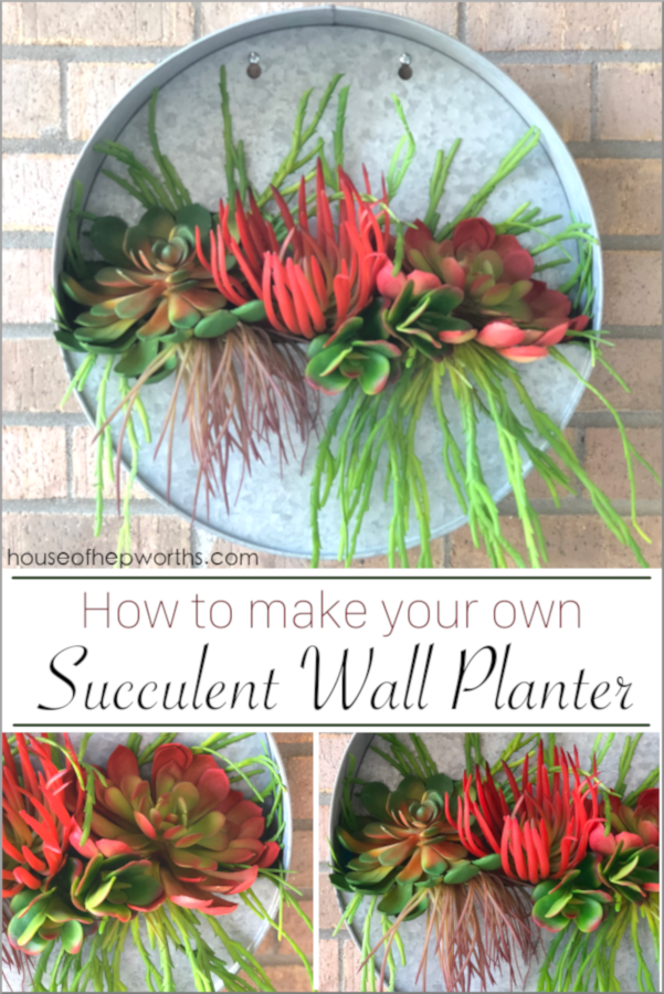 Succulents planted into a round galvanized wall planter