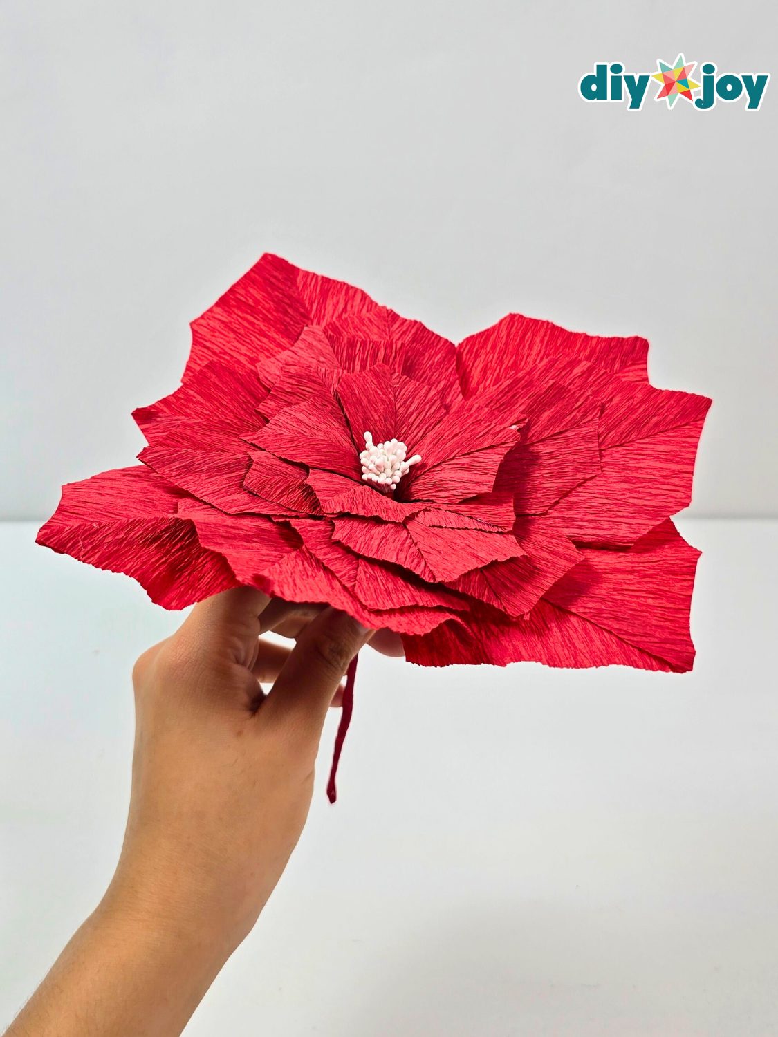 Crepe Paper Poinsettia Christmas Flower Hand holding a large red crepe paper poinsettia with layered petals and a pale stamen center against a white wall