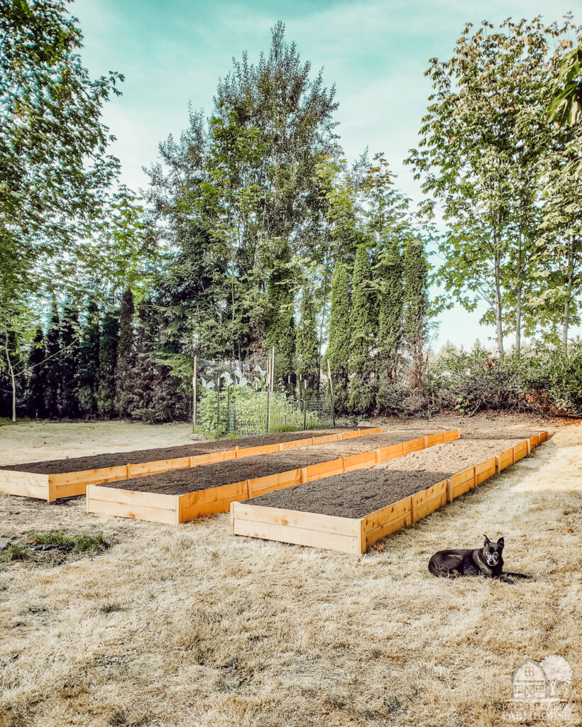 Simple Wood Raised Garden Beds, one of the best raised garden bed ideas on this list and a favorite pick from this list