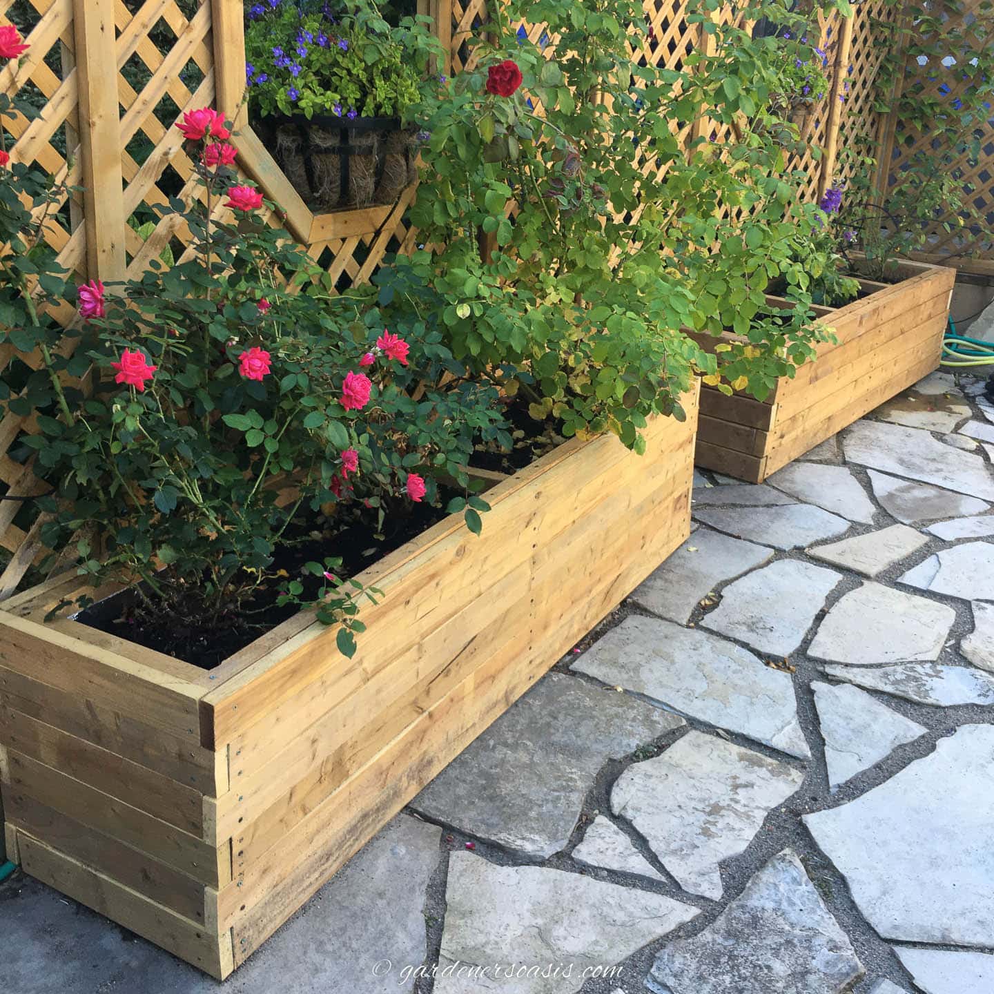 Large Wood Planter Boxes, an affordable way to try something new and a favorite from this collection