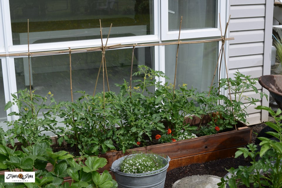 Simple Cedar Raised Bed Against the House, one of the best raised garden bed ideas on this list and worth a look