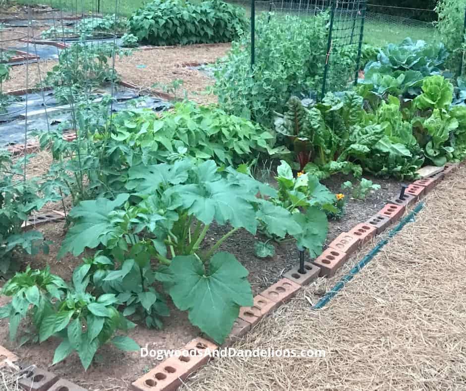 Raised Beds Edged With Brick, one of the best picks on this list and a favorite from this collection