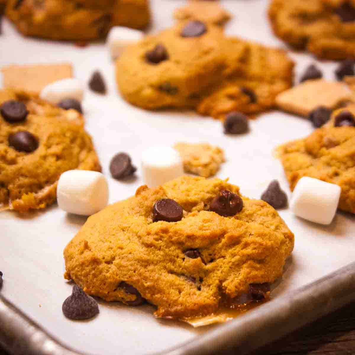 Pumpkin S'mores Halloween Cookies Orange pumpkin s'mores cookies with chocolate chips on a baking sheet surrounded by marshmallows and graham crackers