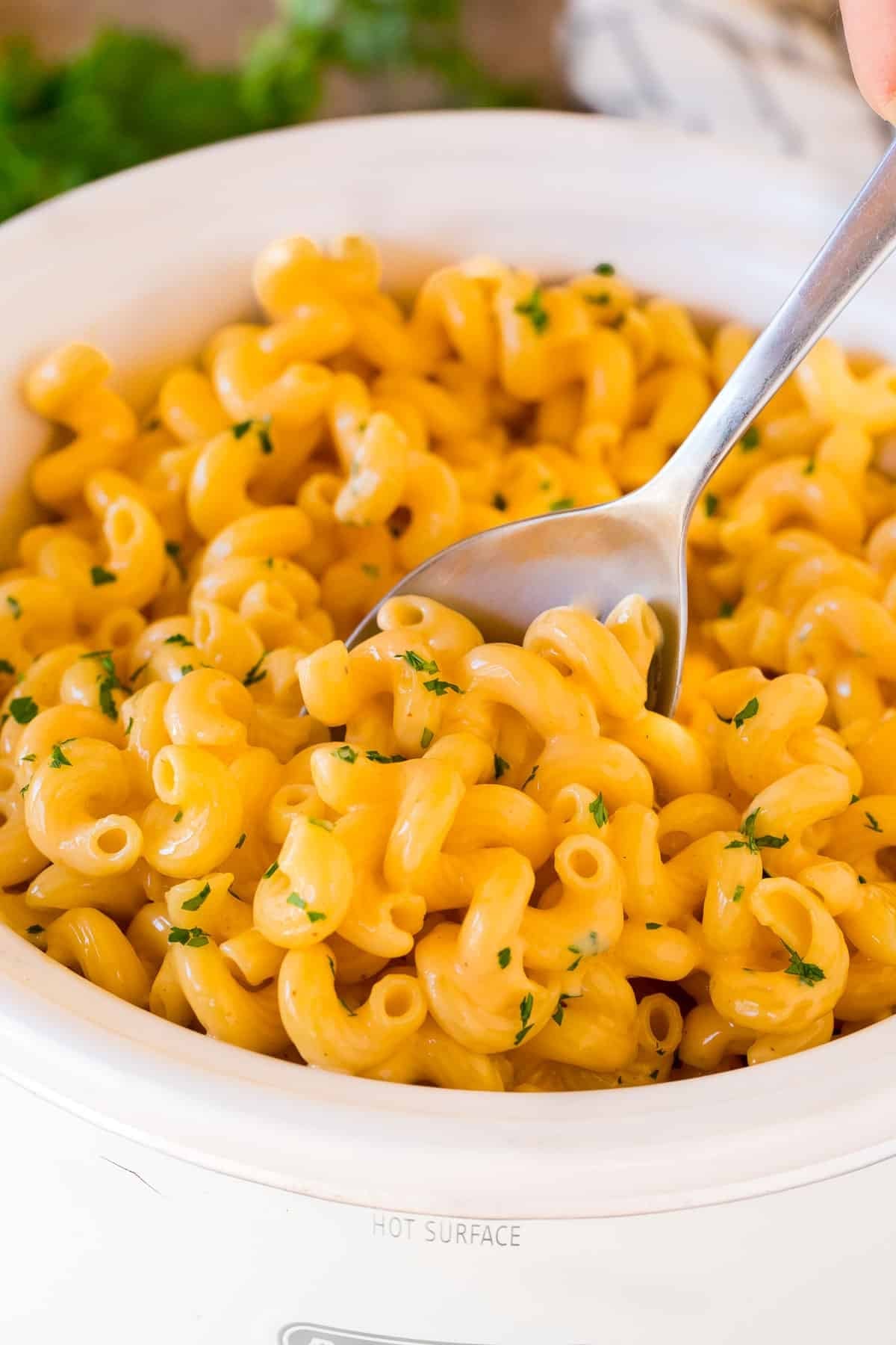 Creamy Slow Cooker Mac and Cheese Creamy cavatappi macaroni and cheese in a white slow cooker with parsley and a serving spoon for holiday meals