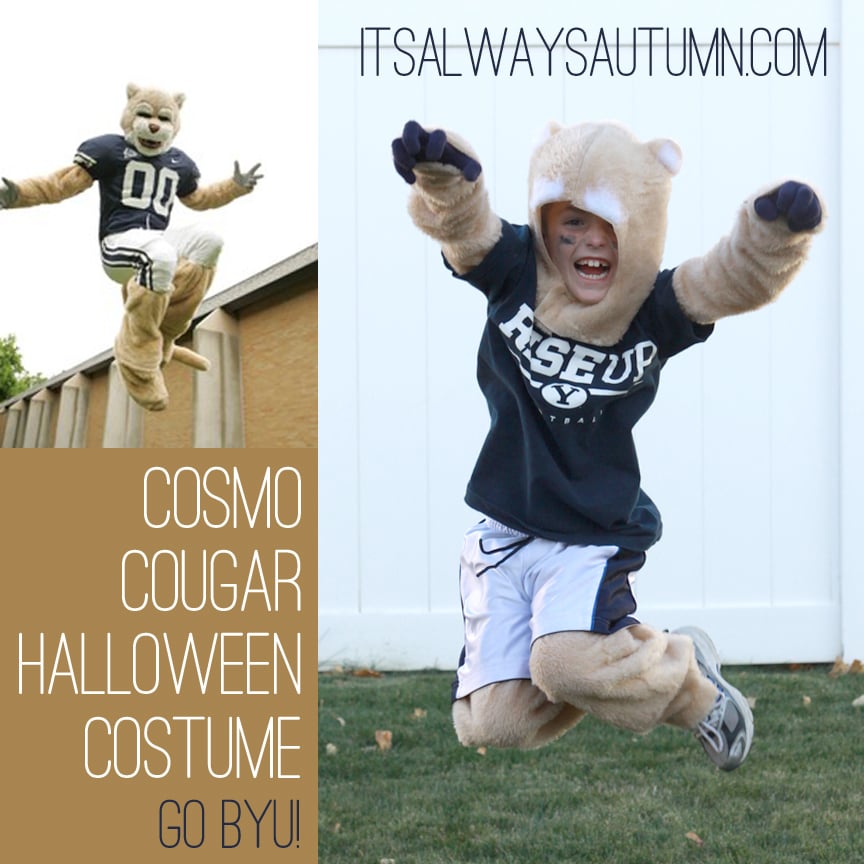 Child in a BYU shirt and shorts wearing a fuzzy cougar hood, paw gloves, furry legs and tail while jumping
