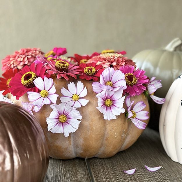 31 Pumpkin Decorating Ideas To Make This Fall - Fall Flower Pumpkin Centerpiece - Easy DIY Pumpkin Decor Ideas for Home, Yard, Outdoors - Cool Pumpkin Decorating Ideas for Adults and Kids Party, Creative Crafts With Paint, Glitter and No Carve Projects for Halloween 
