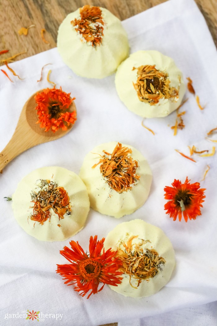 Round white homemade aromatherapy shower steamers topped with dried calendula petals beside bright orange calendula flowers