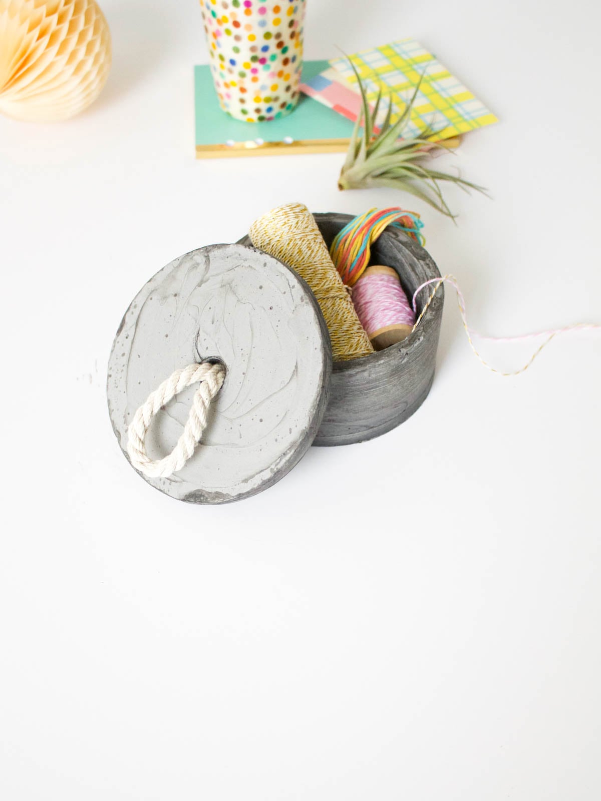 Concrete Bowl and Lid | Cardboard Box Mold DIY Round gray concrete box with a lid and white rope loop handle, filled with twine and string, on white with an air plant