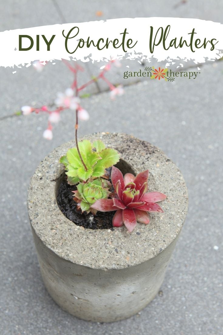 Concrete Planters from Recycled Containers | Garden DIY Round gray concrete planter with hens and chicks succulents and a pink flower stem, on pavement, with a title banner