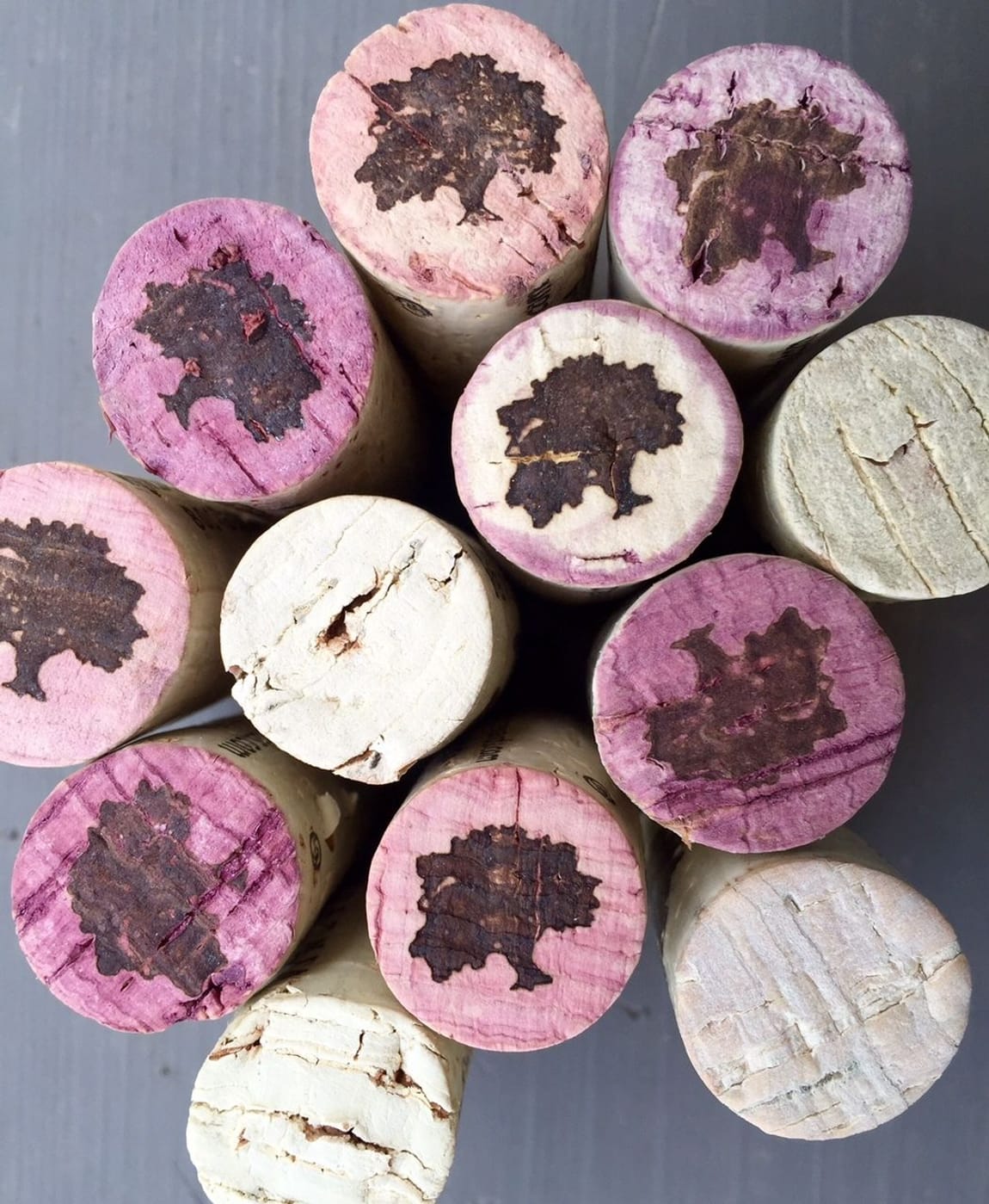 Close up of red wine stained corks with dark tree logos stamped on their ends, grouped with plain pale corks on a gray table