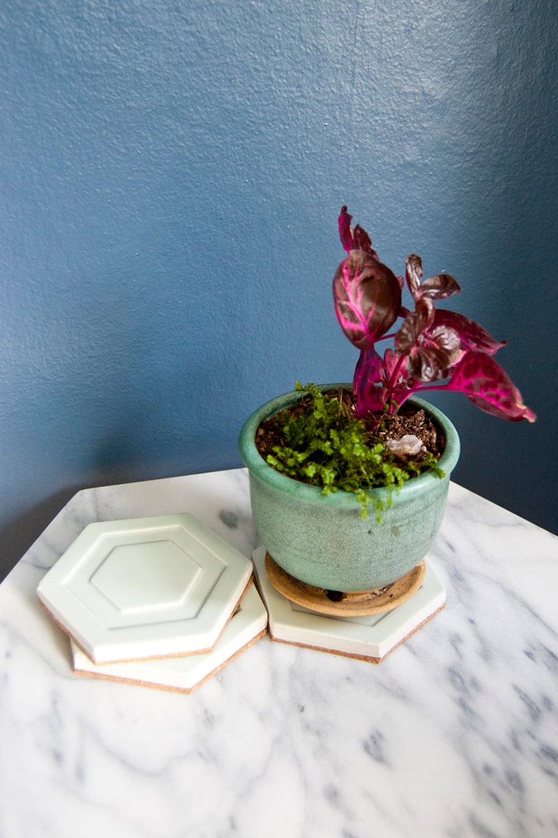 DIY Hexagon Tile Coasters | Cork Backed ReStore Tile Two stacked mint hexagon tile coasters with a raised hex design beside a green pot with a pink-leaved plant on marble