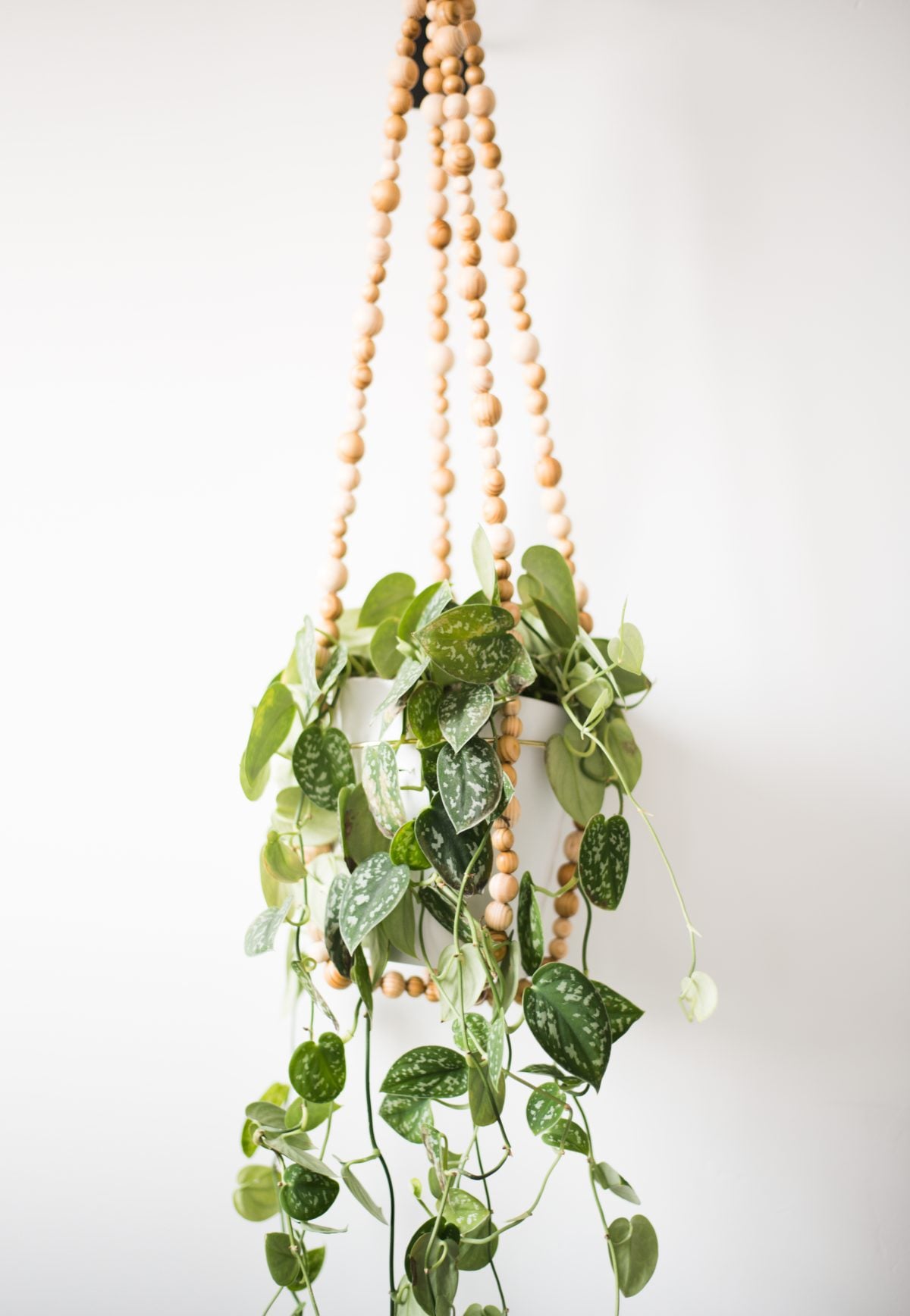 DIY wood bead hanging planter, natural wood bead strands holding a white pot of trailing satin pothos