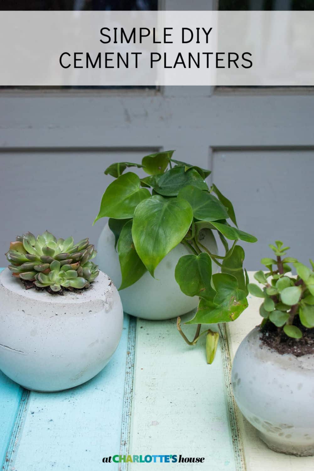 Cement Orb Planters | Thrifted Glass Vase Mold DIY Three white cement orb planters with succulents, pothos and a jade plant on a pastel striped table, with a title