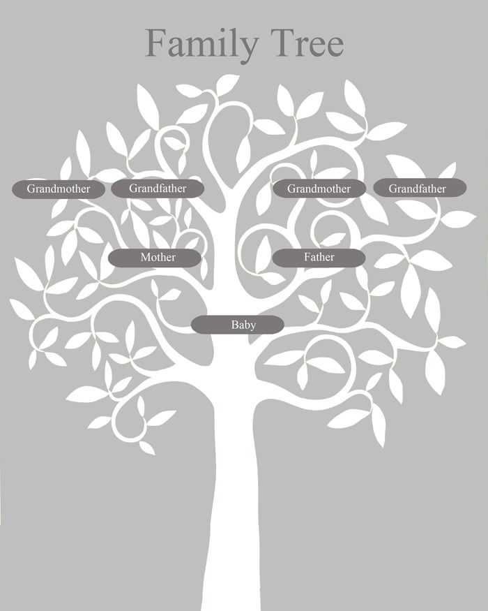 White framed family tree printable with a white tree on a gray background and labels for grandparents, parents and baby