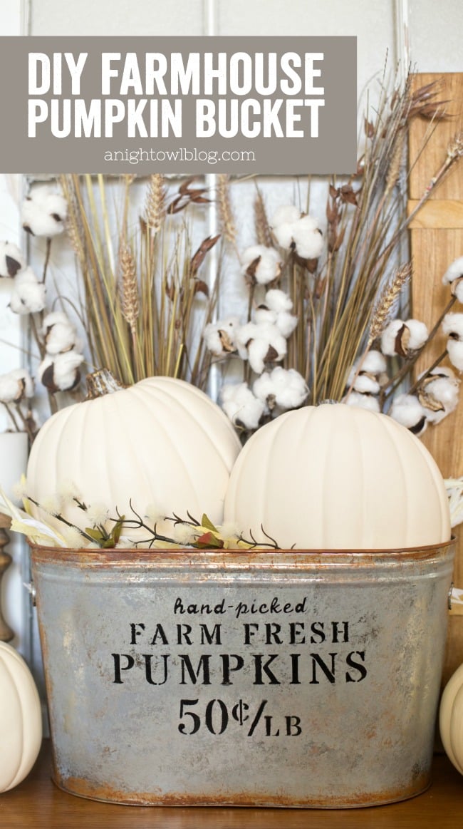 Farmhouse pumpkin bucket, aged galvanized tub stenciled Farm Fresh Pumpkins with white pumpkins and cotton