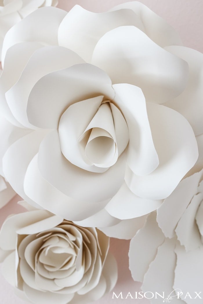 Giant Paper Wall Flowers | DIY Party Decorations Idea Close-up of large white and cream paper roses with curled cardstock petals clustered together on a party wall