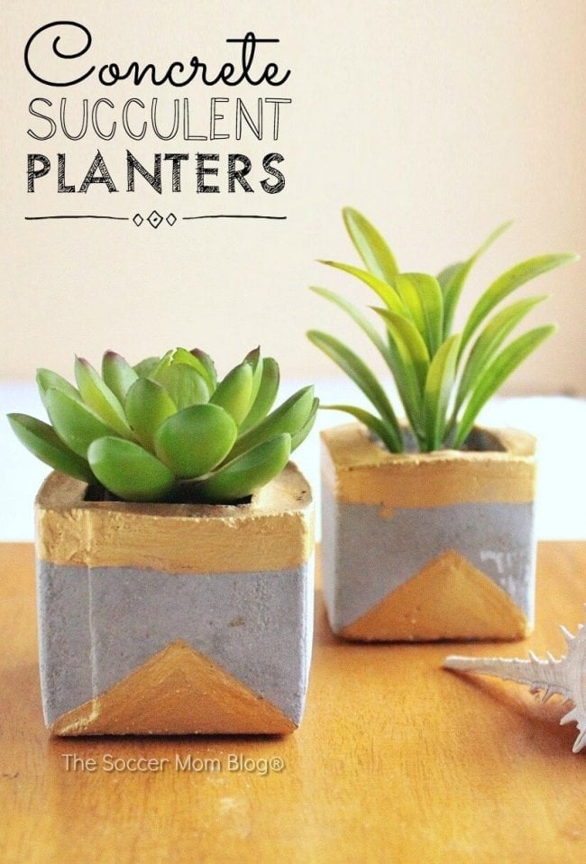 Gold and Concrete Succulent Planters | Easy DIY Two square gray concrete succulent planters with gold painted tops and triangles holding green succulents, with a title