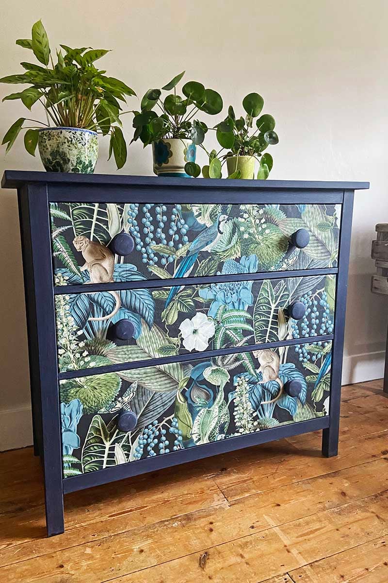 Navy IKEA Hemnes three drawer chest with tropical leaf wallpaper on the drawer fronts, round navy knobs and plants on top